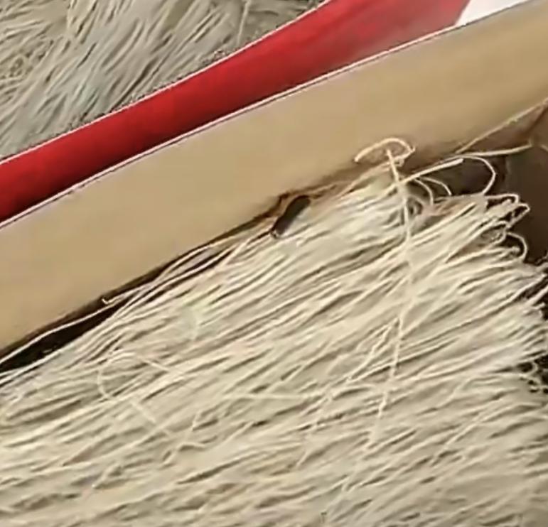 就冲这仁义劲
可能是特别不合口味吧
要不然高低得留下，顾客网购粉条试吃后，在退货