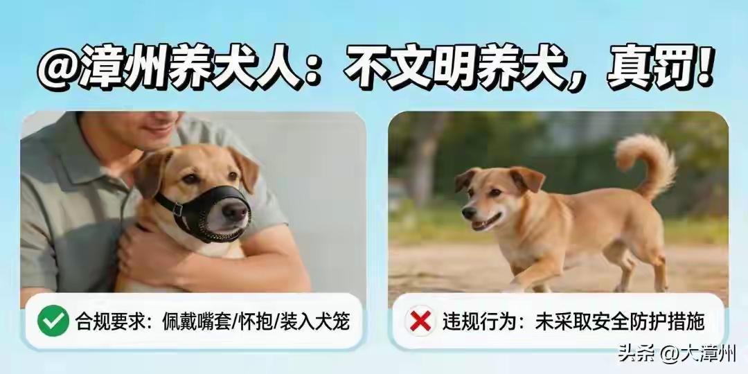 为福建漳州这种处罚点赞，应该在全国推广，严重惩罚不文明养犬的行为。很多养狗人自认