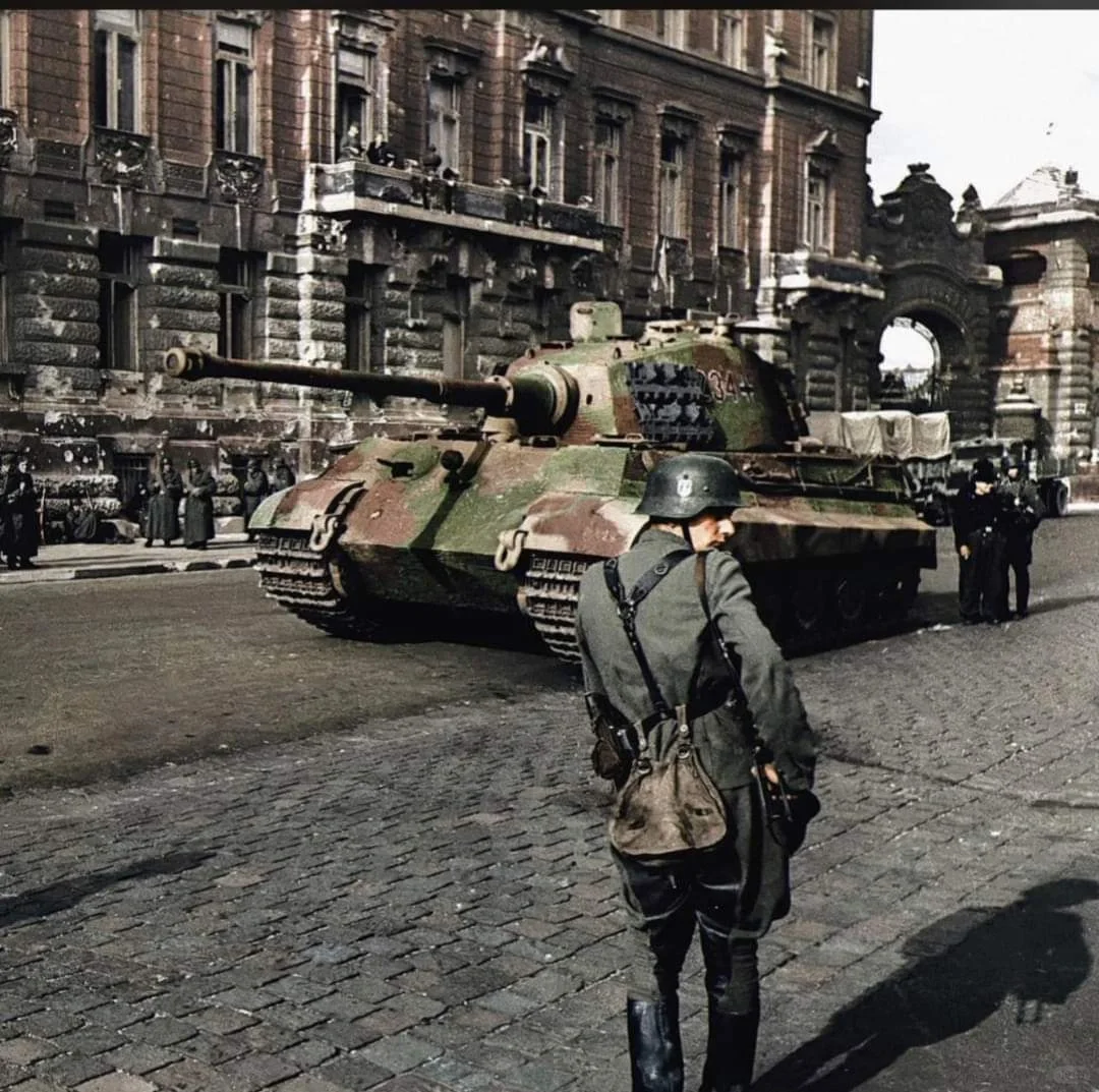 1944年10月，在匈牙利布达佩斯的铁拳行动中，第503重型装甲营编号...