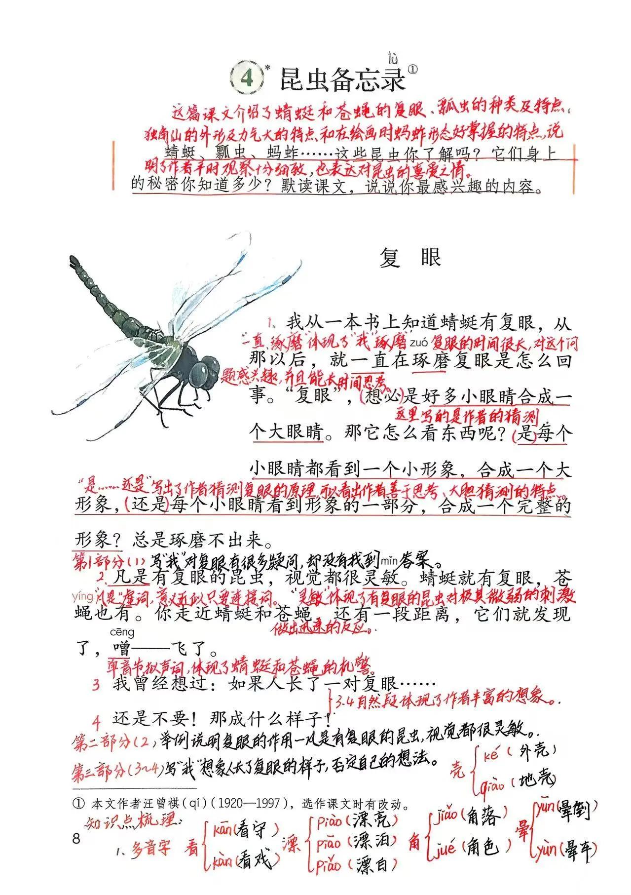 新版三下语文第4课：《昆虫备忘录》笔记