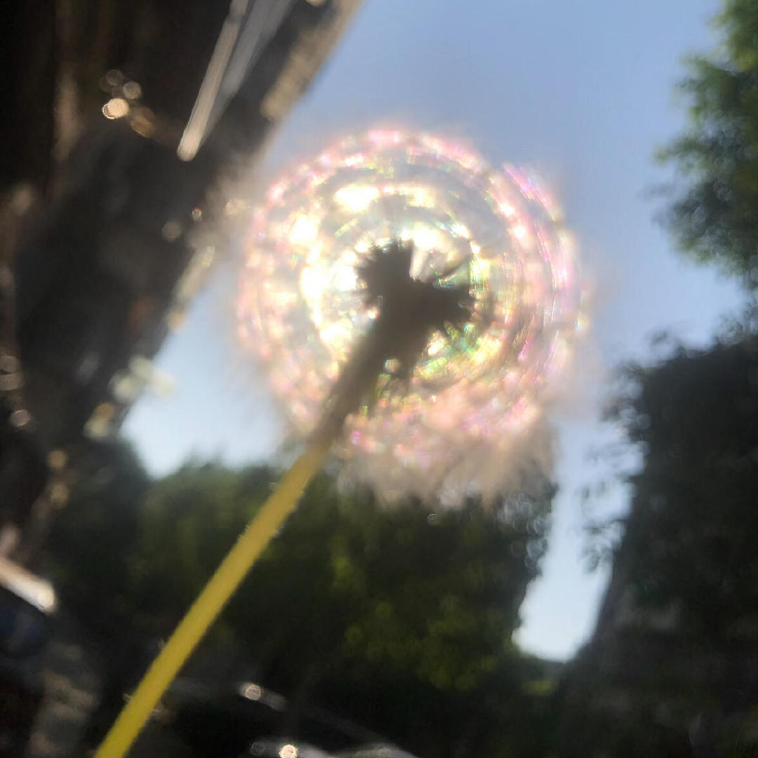 𝗪𝗲𝗰𝗵𝗮𝘁生活感头像背景图搭配 🍵盛夏壁纸大放送动漫仲夏狂欢季