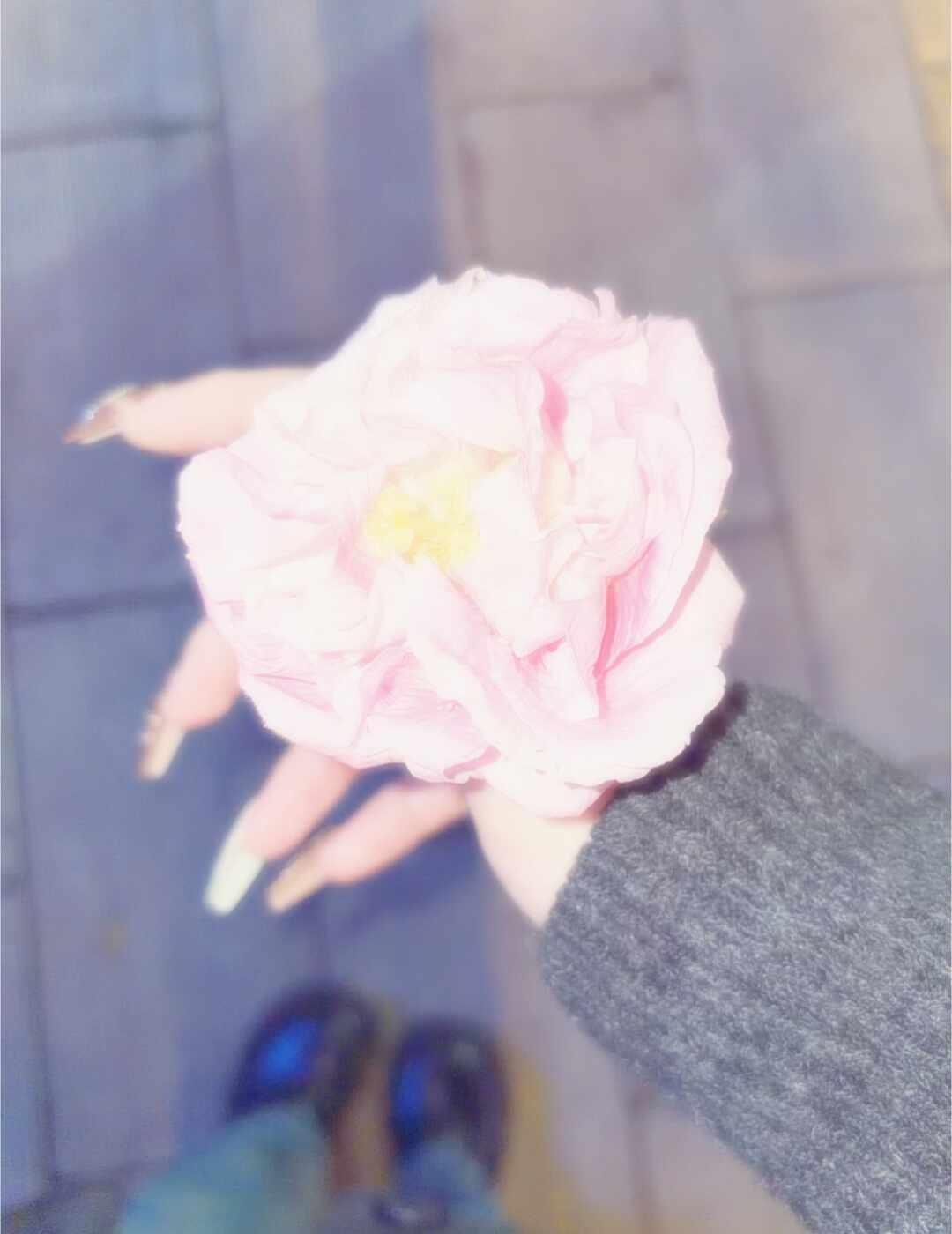 爱和看不起是同时存在的
想谈一下 齐铭对易遥的感情
（最近重温悲伤逆流成河中
把