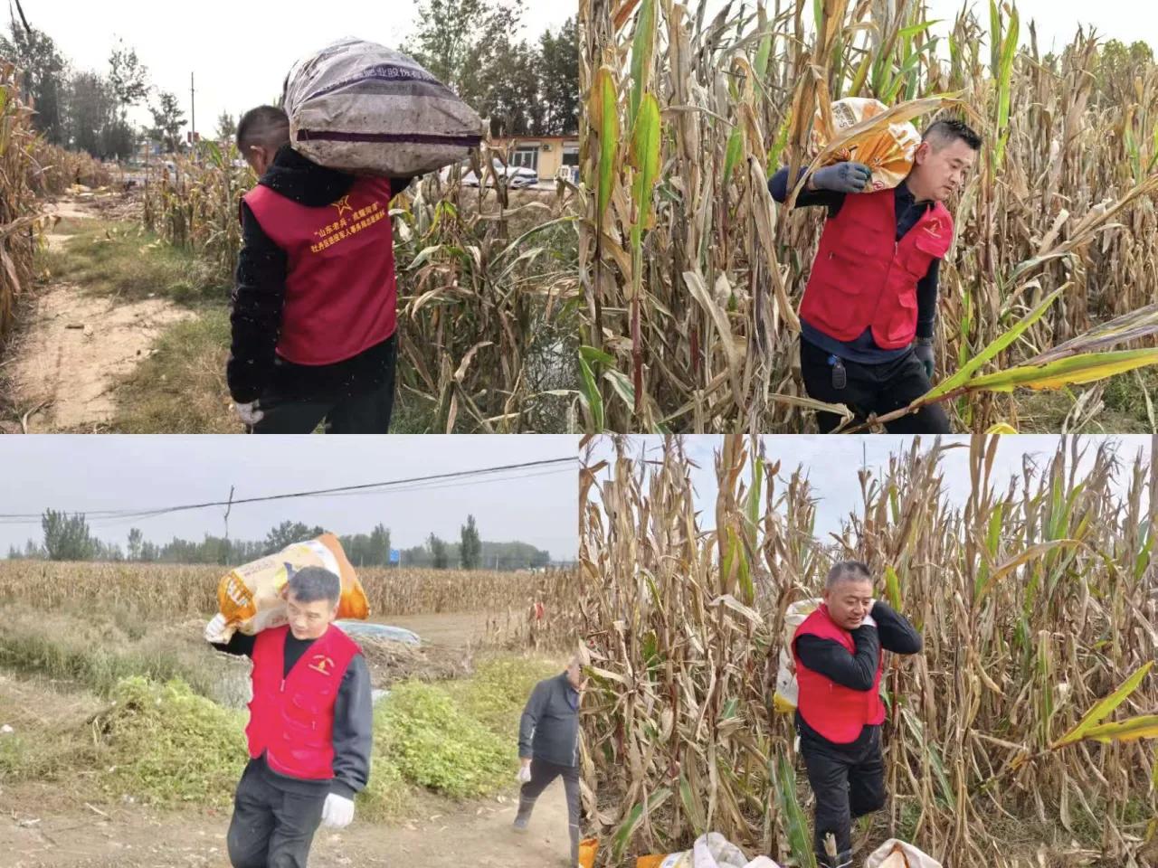 山东菏泽！退伍老兵助农收粮！

来自牡丹区吴店镇的几名退伍老兵，和当地几名志愿服