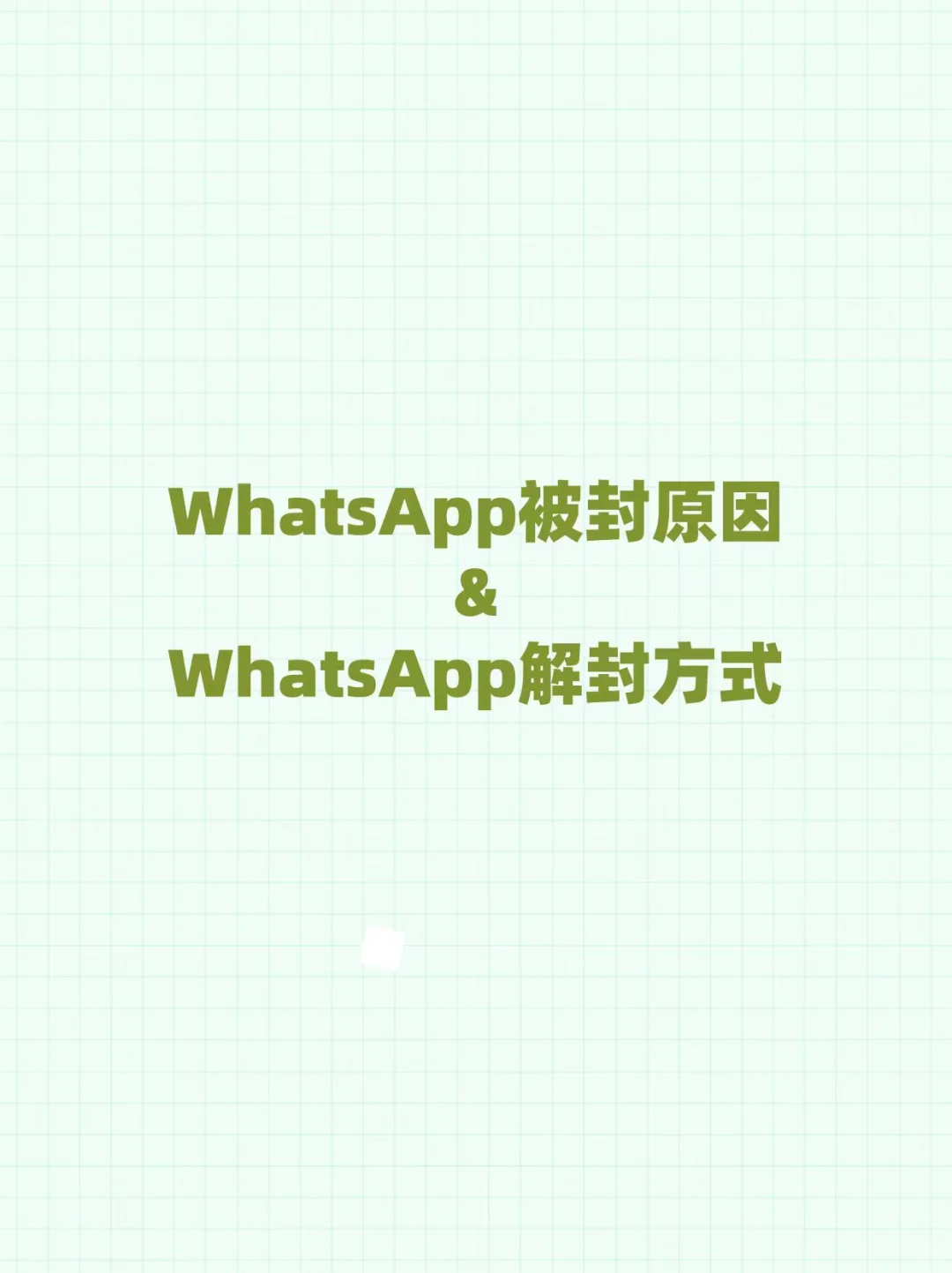 WhatsApp最全攻略！提问：我为啥被封号了？