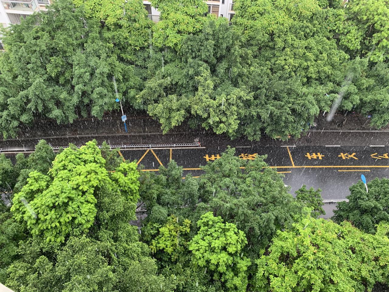 今日广州有雨