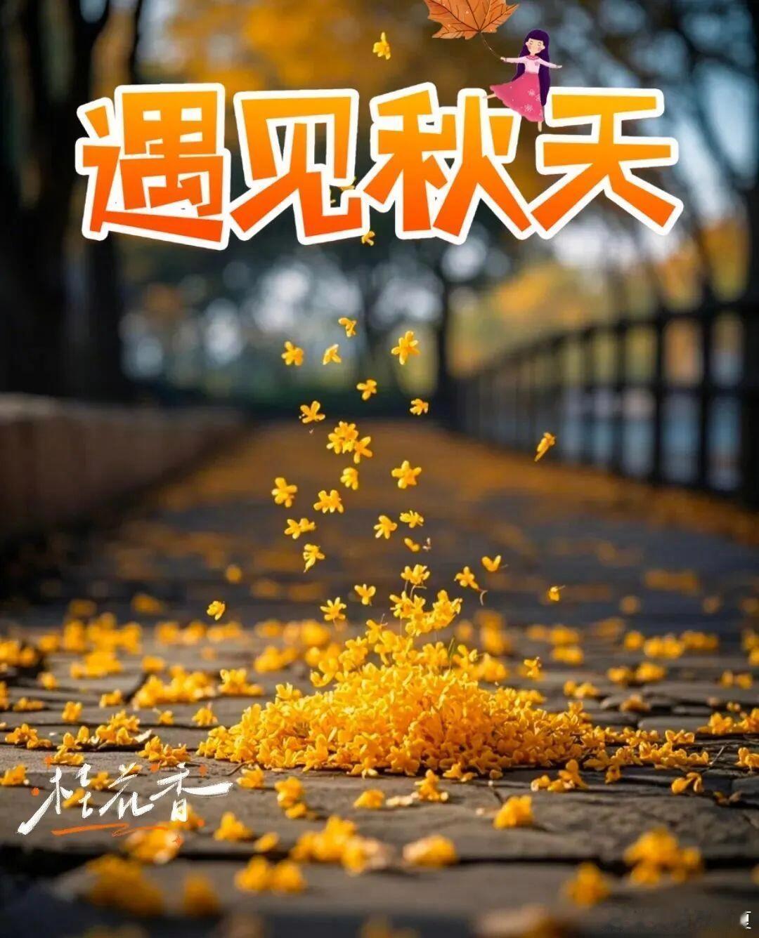 一叶落而知天下秋～ ​​​