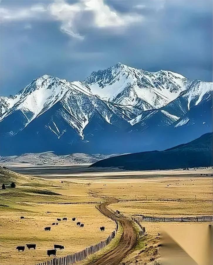 摧毁普通人的期待，往往就一句话。

你加班到凌晨的朋友圈，被解读成“年轻人真拼”