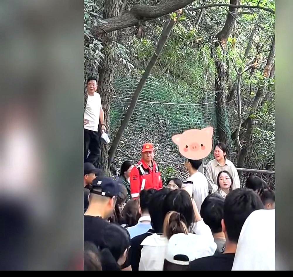 杭州北高峰这事，真是把“巧”字演到了极致。
男生本来是偷偷带着女友的闺蜜去爬山，
