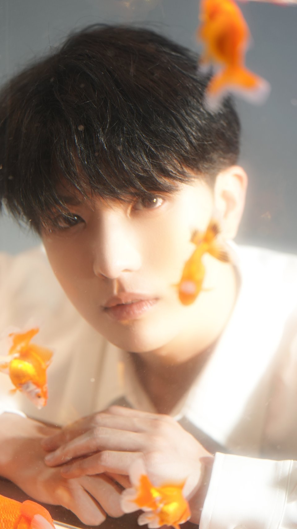 #吴岱林要来新疆啦# 太棒啦！吴岱林八月即将空降新疆音乐现场，不知道哪些幸运儿能