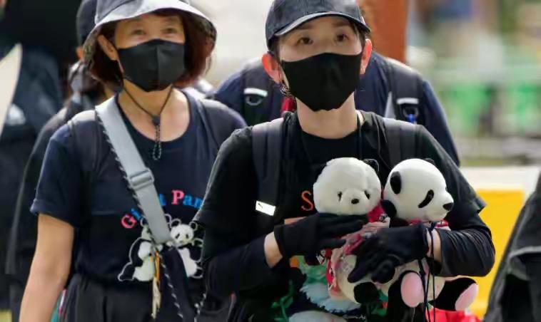 最后两只熊猫打包回国，高市早苗一句狂言，换300亿日元天价账单。
 
这则消息让