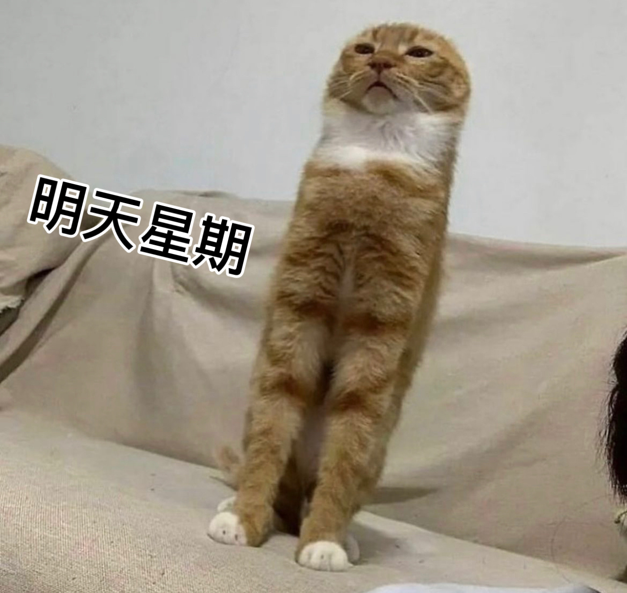 🙉 ​​​