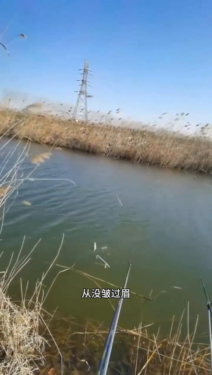 三餐味道肚儿圆，从没皱过眉，以为安稳就是最好的滋味。河水里游来游去，日子淡如水，
