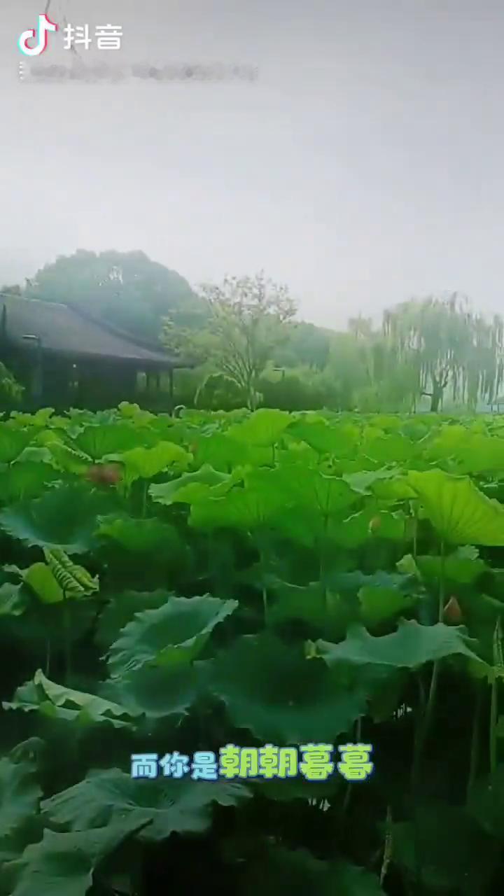 日为朝，月为暮，而你是朝朝暮暮。看遍人间聚散，我心还如故。怕风急，怕路远，怕眼前