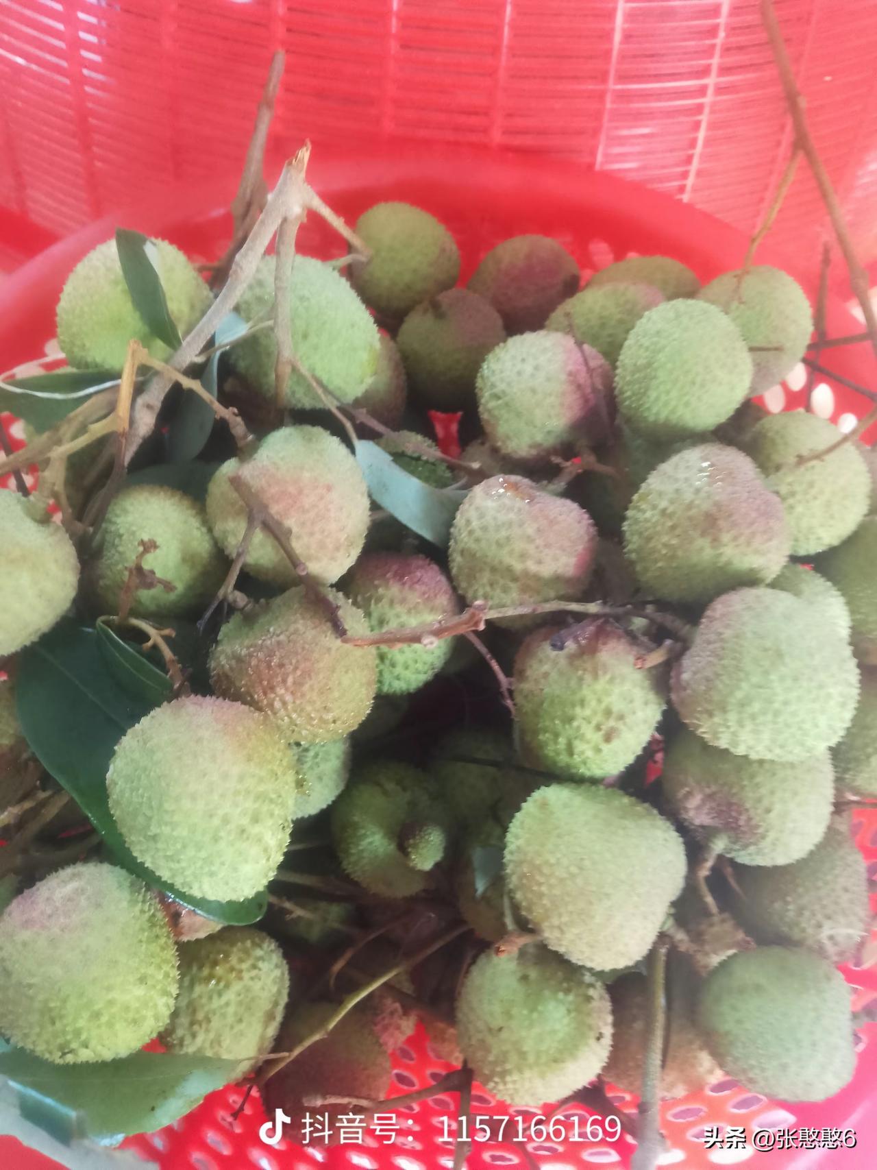 昨天中彩票了，奢侈一把，一口气买了这么多榴莲，吃不完，根本吃不完。