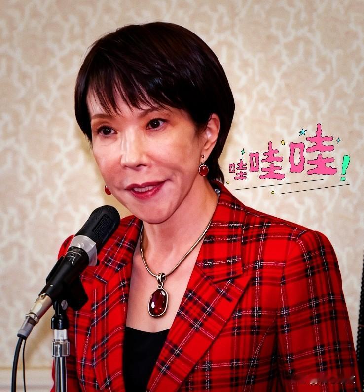 日本向乌克兰提供60亿美元援助，这一金额是其对乌单次一揽子援助的最高纪录。该笔援