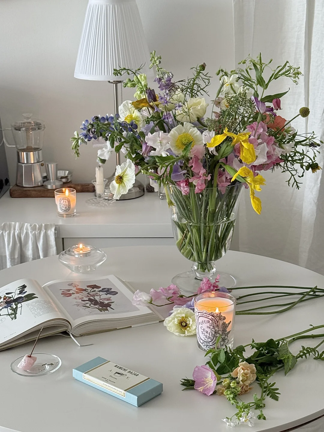 🌷春日ᴘʟᴏɢ ｜🌸🌼是五颜六色的春天哇🕊️🌿
