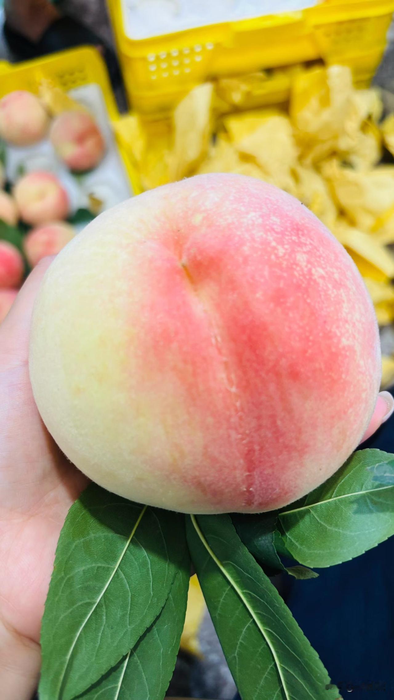 不知道这是什么品种的桃子，看起来很漂亮，不知道味道怎么样？