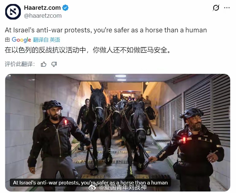 马命贵海外新鲜事热点现场