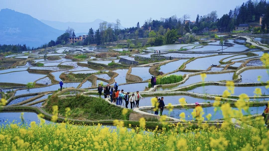 【每一个认真生活的日子，都是对春光最好的回应】
        生活就像一场与春