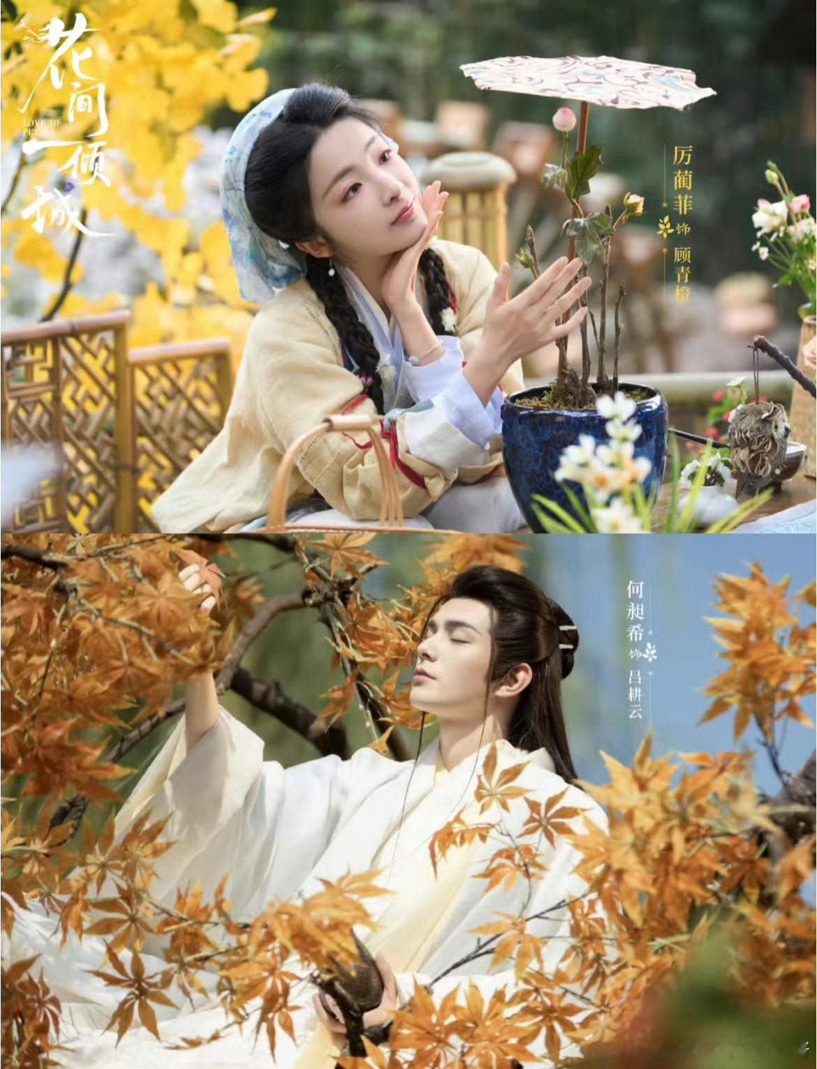 众星为何昶希新剧打call  家人们，被《花间一倾城》刷屏了！孟子义、曾舜晞一众