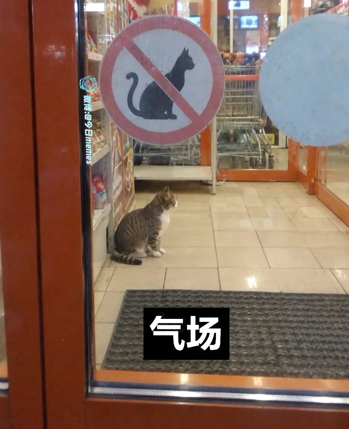 规则者 ​​​