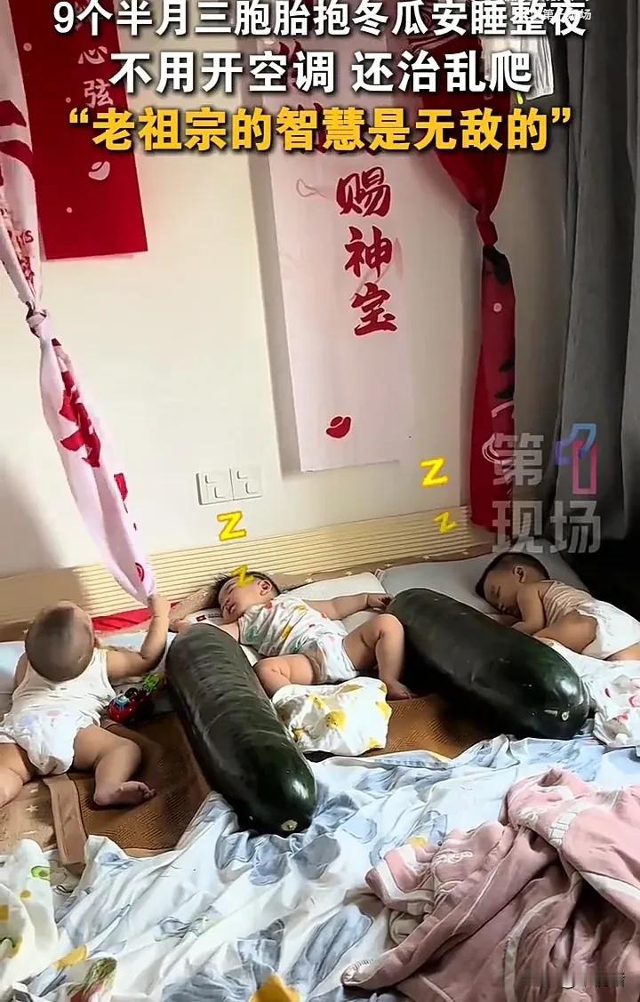 这82块钱花得太值了！7月8日，辽宁大连一名男子花了82块钱买了三个冬瓜，给九个