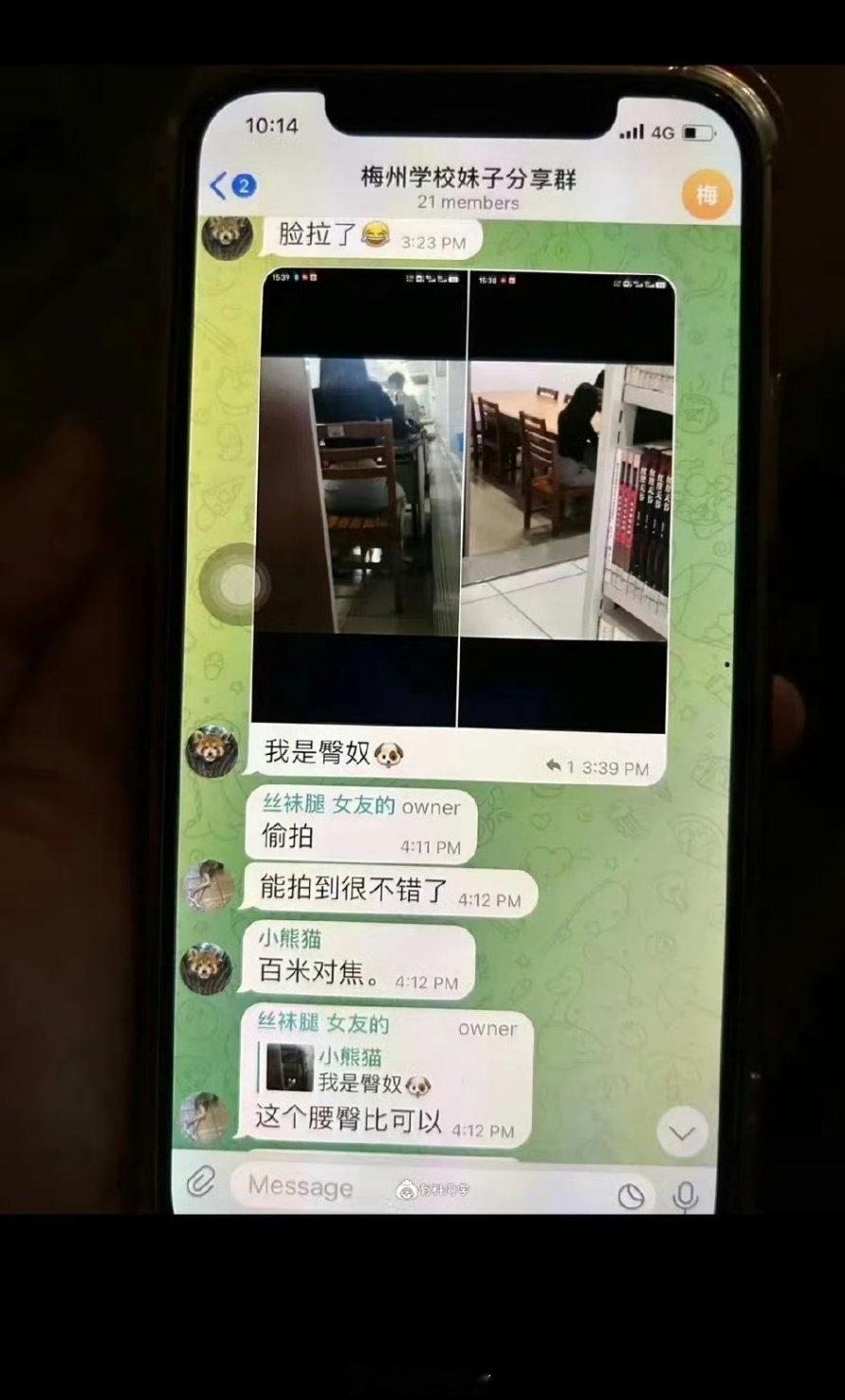 当技术与人性底线赛跑，法律滞后性成为犯罪保护伞、平台问责与性别平等教育并行，才能