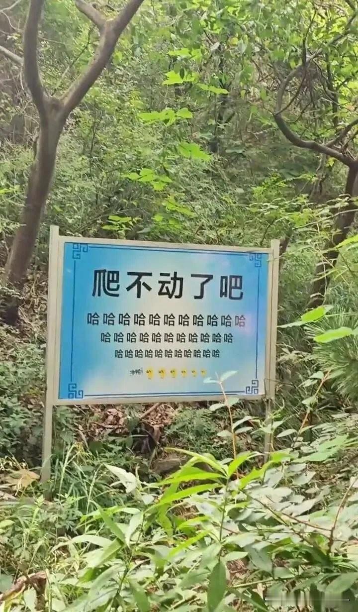 中国泰山上的这块标牌因嘲讽游客而被撤下： 

“爬不上去了吧？ 哈哈哈哈哈哈哈哈