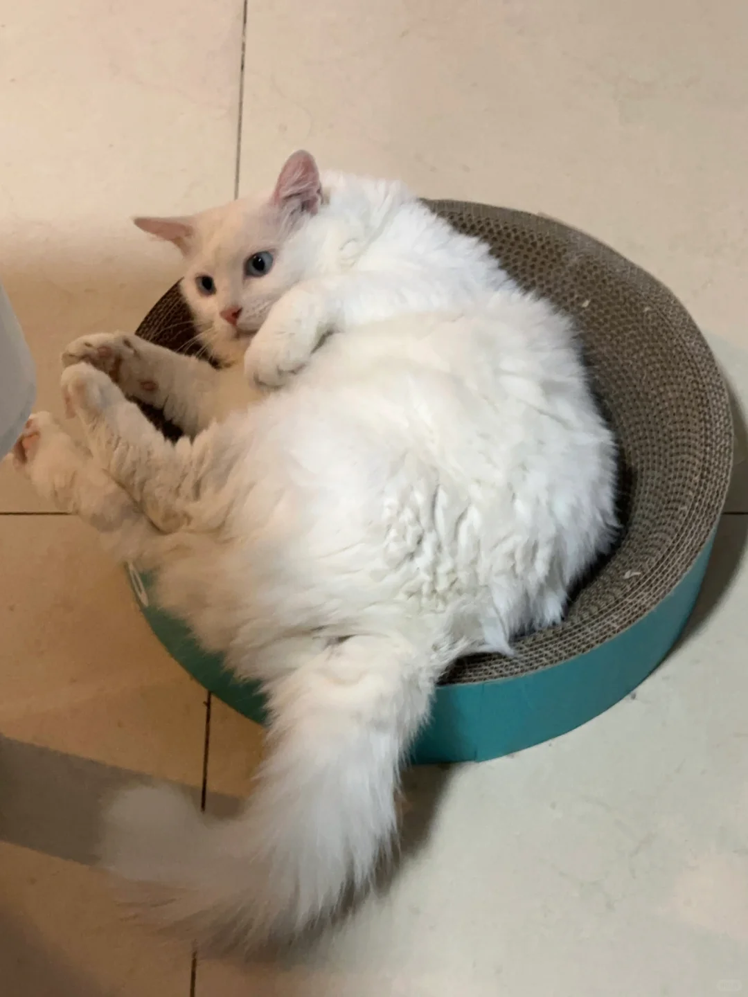 千姿百态