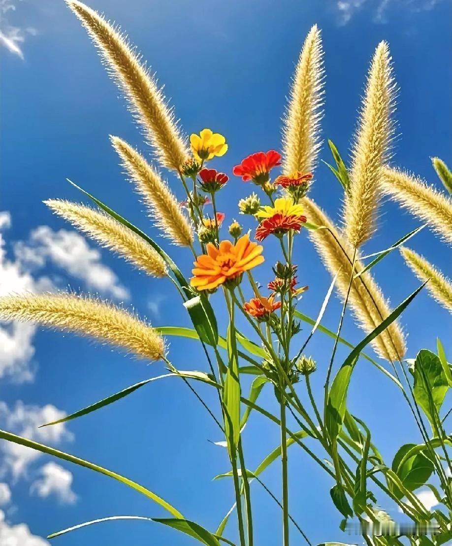 哪部剧能直戳你心窝？

我赌90%的人都被这部治好了内耗
 
真不是我夸张，能直