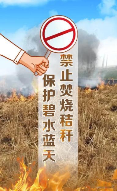 给中央网信办一点小小的建议，成立网络平台真相调查中心。
中央网信办关于“清朗·从