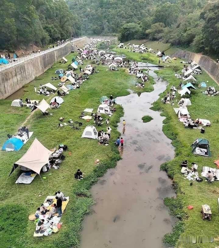 现在的人真是看不明白了，一条臭水沟，竟然这么多人！