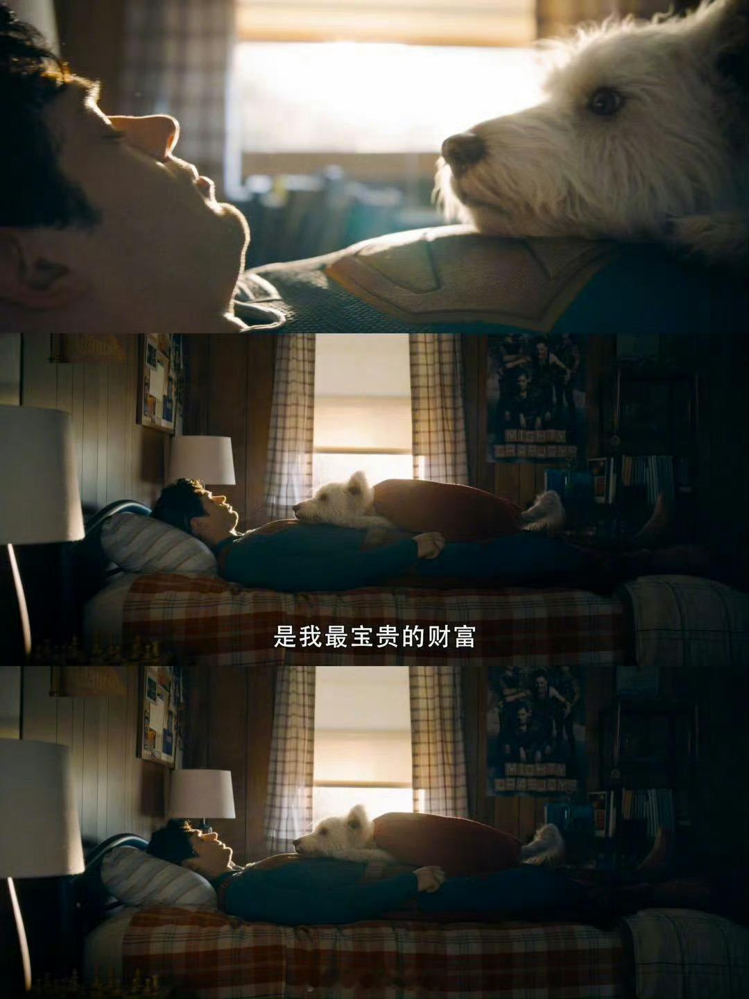 朋友们，转发抽三个宝子送《超人》电影票两张！助力我能看到世界最佳拍档！助力dcu