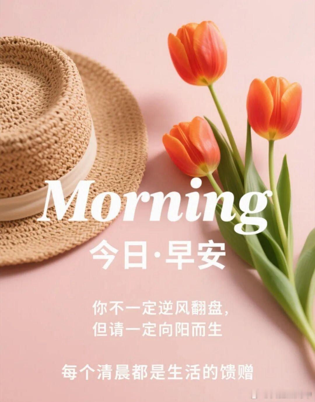 早安[超话] 🎈𝒢𝑜𝑜𝒹 𝑀𝑜𝓇𝓃𝒾𝓃𝑔♡日子如回音壁，