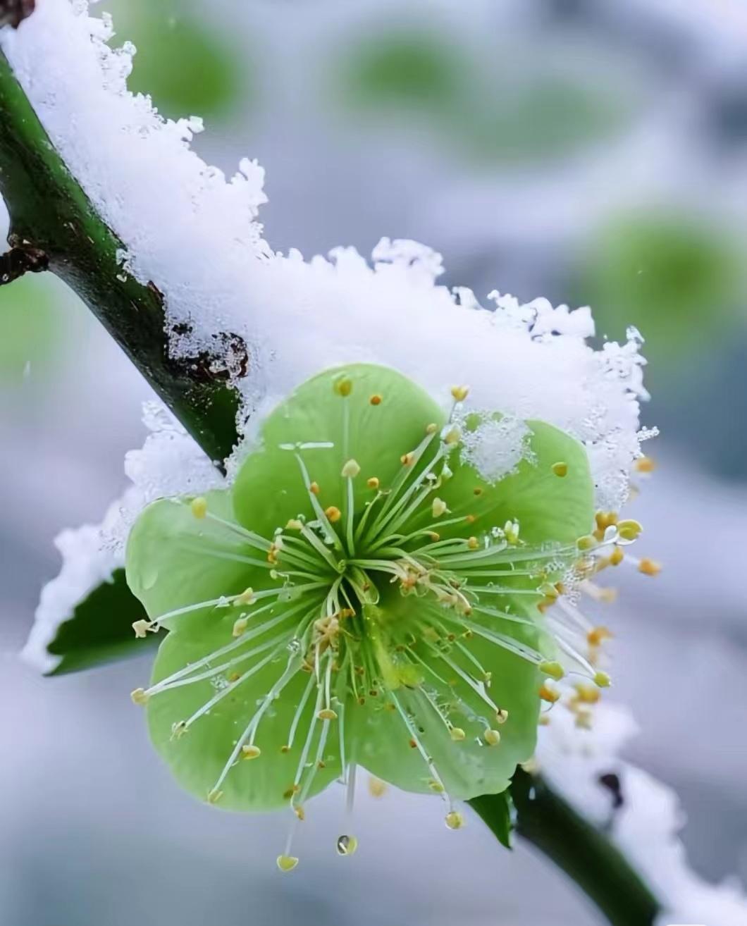 下联:满腹才华。邀君赐上联：身怀绝技；
