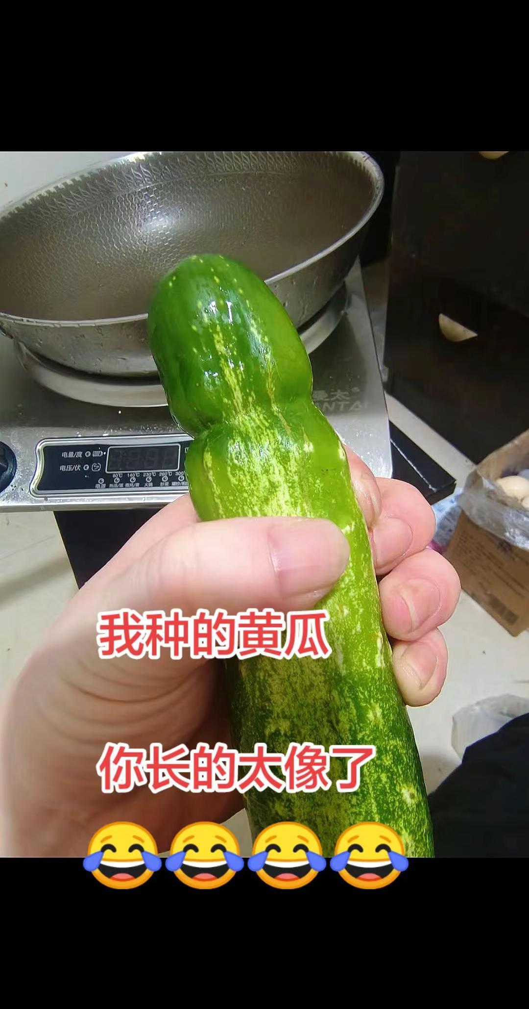 我种的黄瓜可以吃吗？皮一下很开心 专治不开心
