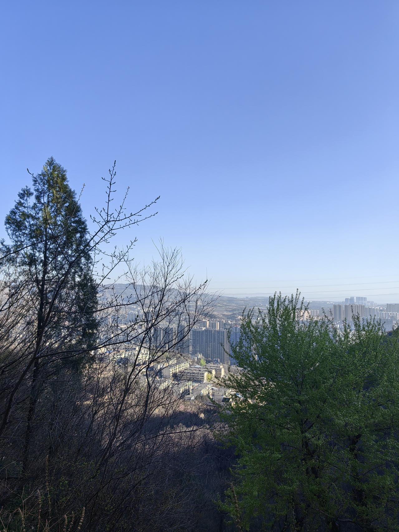 男子上坟引发山火被刑拘是不是该发明一种产品，用电子产品模拟烧纸的效果，没有烟，没