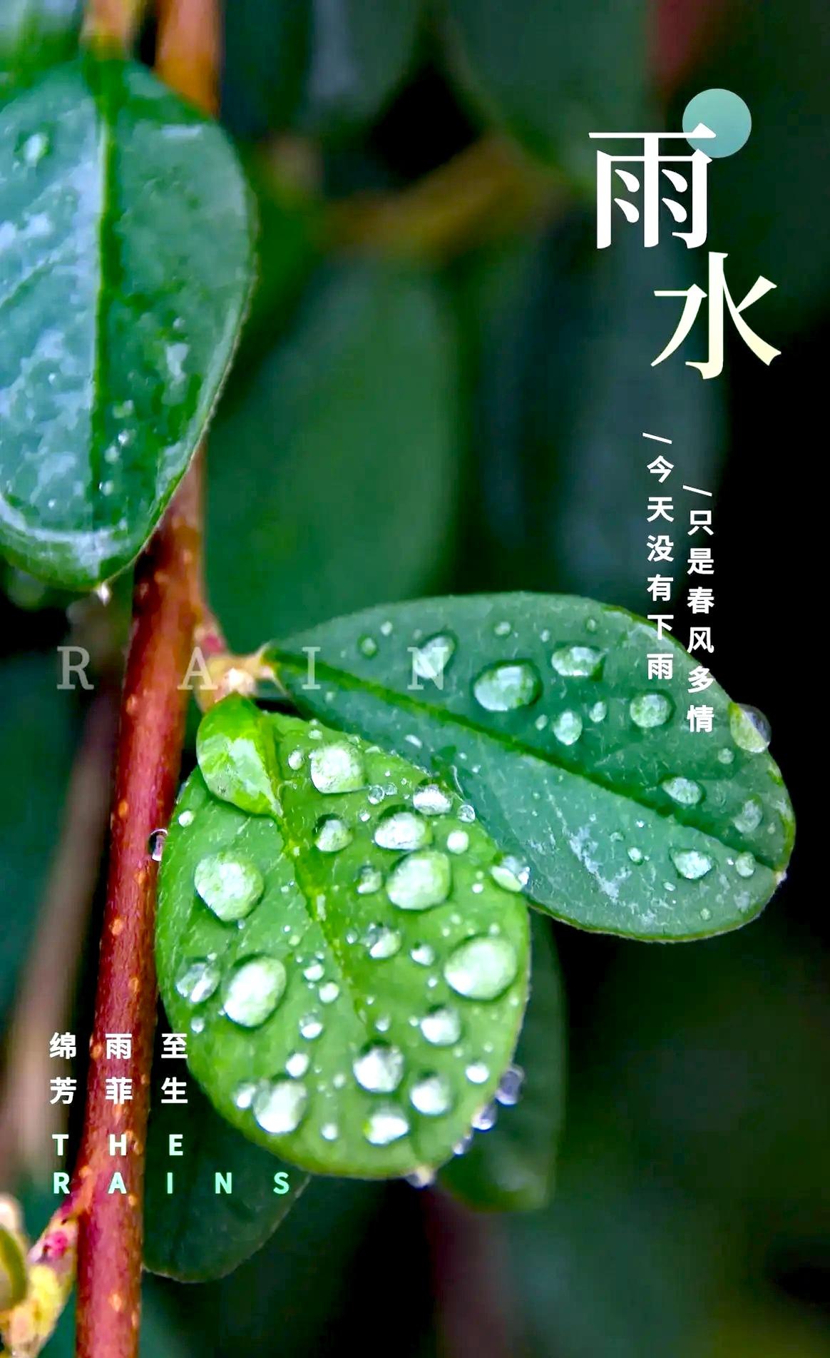 雨水洗春容，平田已见龙。獭祭鱼盈浦，雁归过山峰。细雨潜夜至，无声润物生。陌上花开