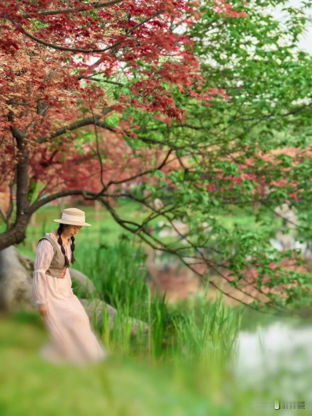 这张照片一看就是用手机拍摄的。为啥这么说呢？
因为这个摄影前景——地上的青草，有