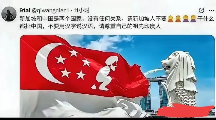 网友发了一张图，把新加坡某些人气坏了，
有人说，不要动辄拿别国国旗玩梗，问题是，
