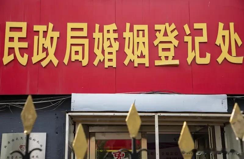 上海这波操作太会玩了，民政局和INS新乐园合作，搞夜间结婚颁证体验项目，消息一出