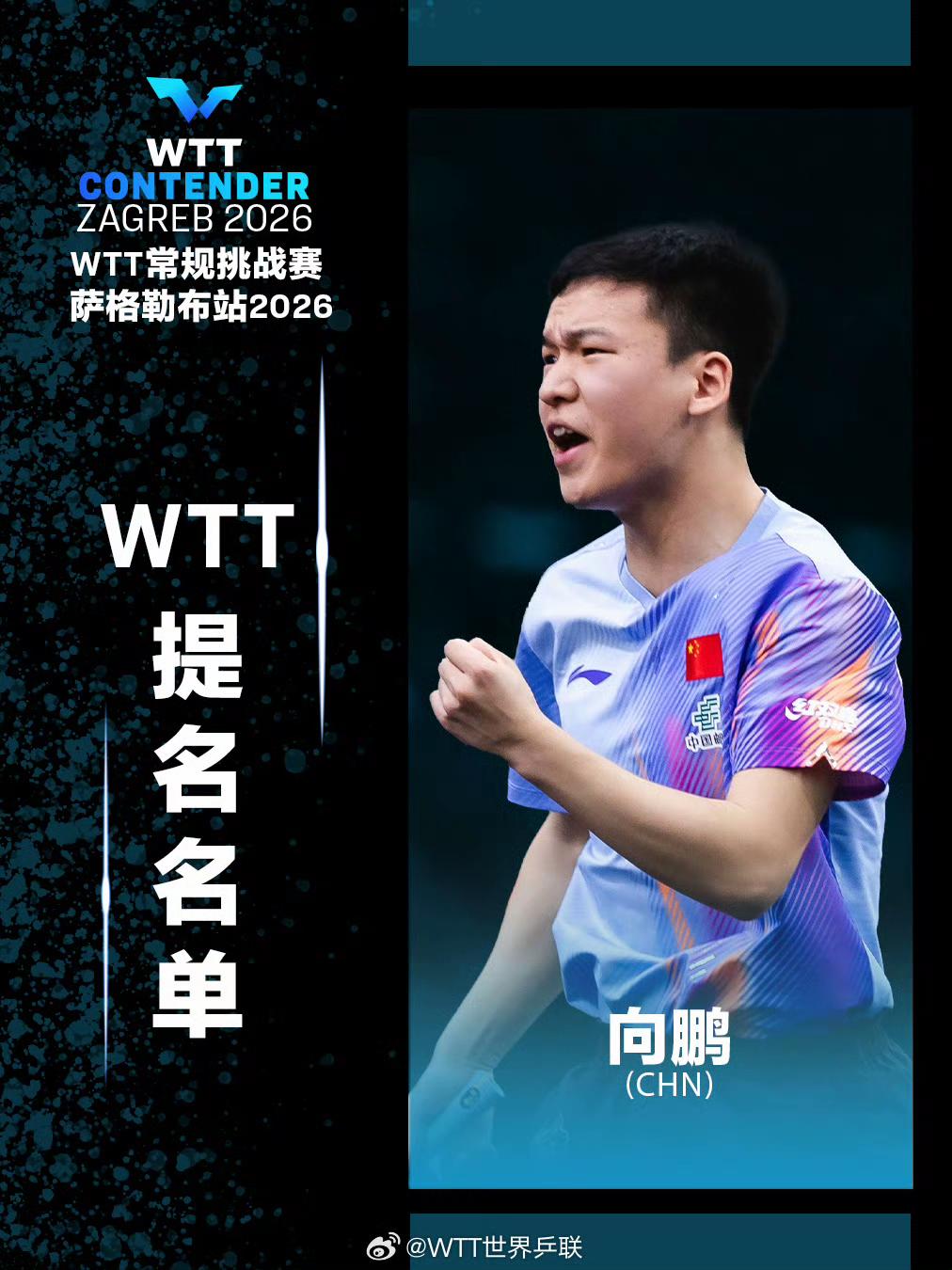【向鹏、大藤沙月，汉娜高达获得WTT提名外卡，向鹏可以与其他新生代队友一起抢积分