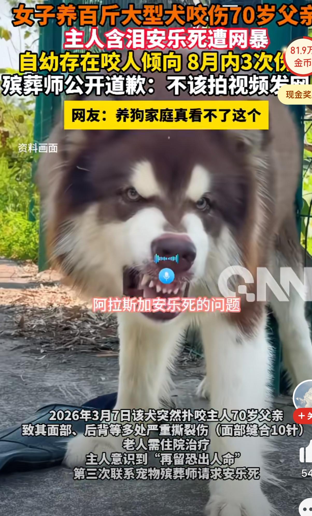 咬别人没事儿，咬了自己爹就要把狗安乐死？因为殡葬师把安乐阿拉斯加大狗的视频发到了