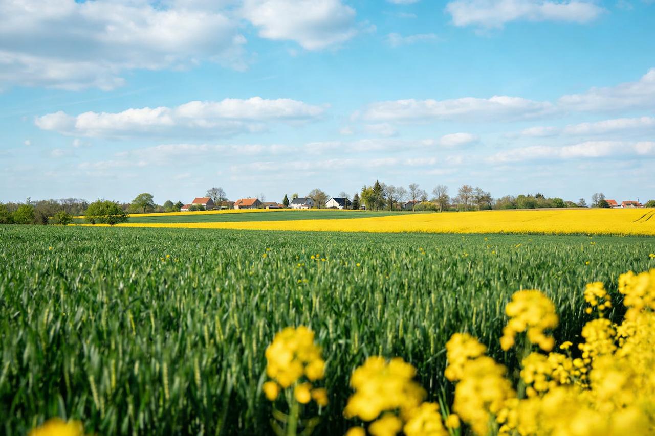 作家麦家说：
“人一定要学会给别人去魅，去魅就是看透。你学历再高也跟我没有关系，