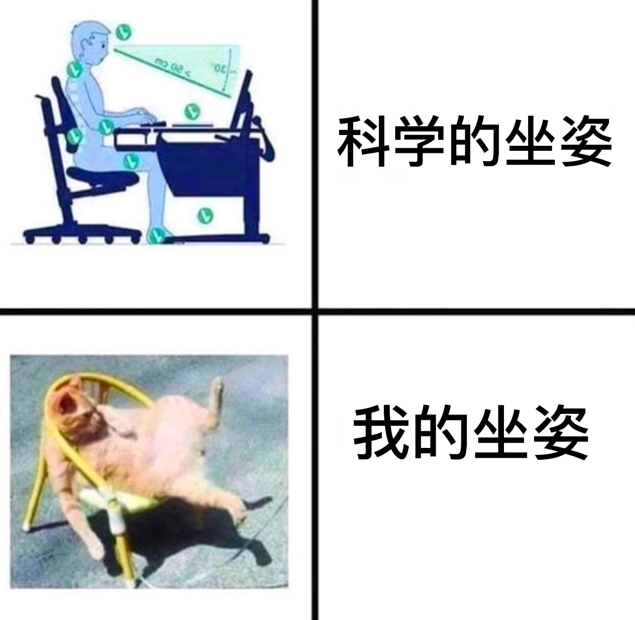 巴适#今日memes# //#龙年造梗大赛# ​​​
