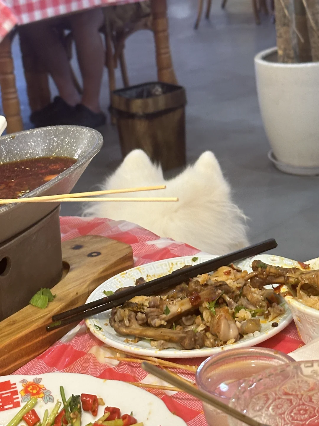 毛茸茸的脑袋瓜子
