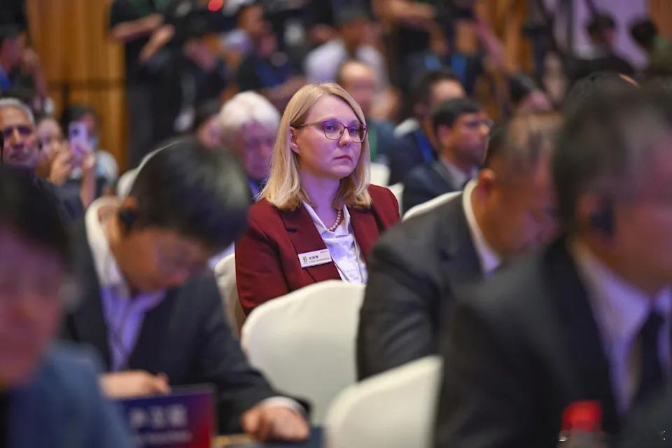 【为什么西方中国研究学者一直处于“危机”模式】[鸡同鸭讲，有多少“中国问题专家”