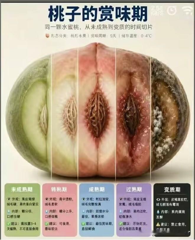你会吃桃吗？