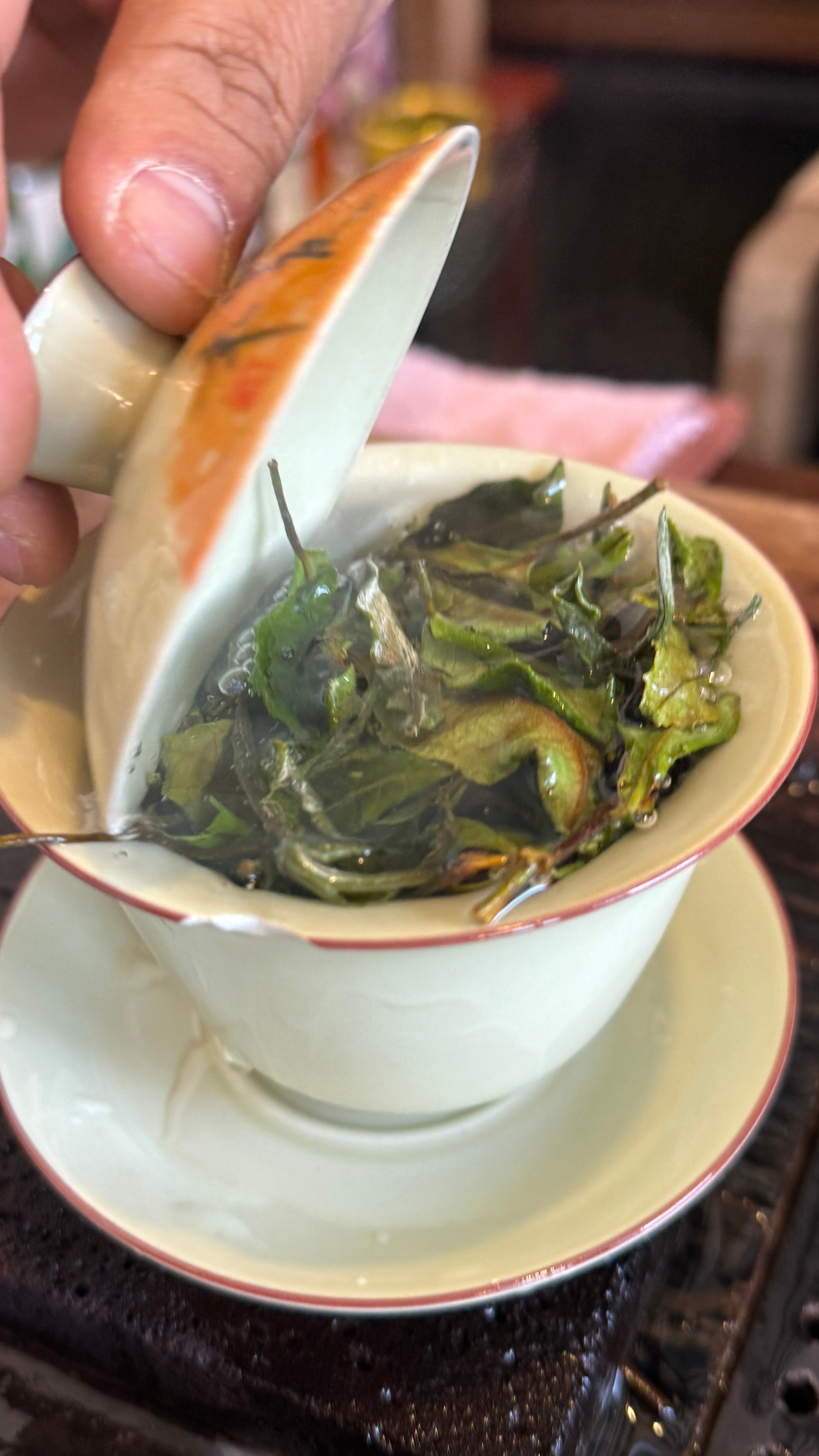 忙忙忙忙忙忙里偷闲的日常，奔赴丽江客栈，遇一段满院花开，茶香四溢的慢节奏时光。丽