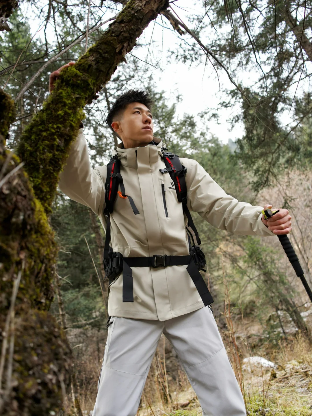 有些感受 只在荒野里生长⛰️